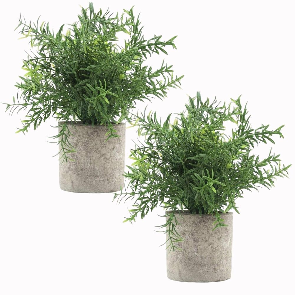 Velener 2 Pcs Artificial Potted Rosemary Plants- Rustic Farmhouse Style